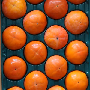 大の果物好きが作るこだわりの富有柿【恵】4kg箱