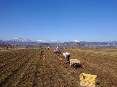 みんなの投稿の画像