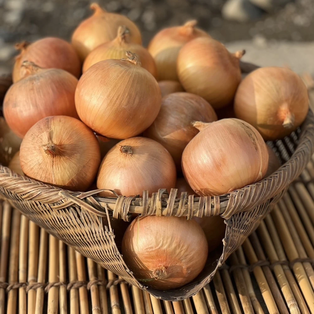 【農業王国十勝産❗️減農薬　あまぁ〜いタマネギ】〜新感覚から食卓に変化を〜