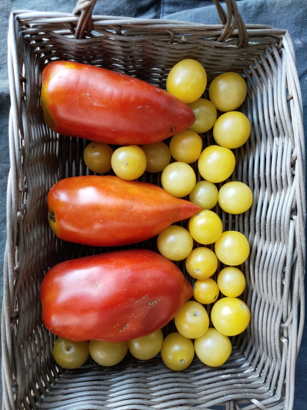 固定種トマトセット ホワイトチェリー アンデストマト 農家漁師から産地直送の通販 ポケットマルシェ