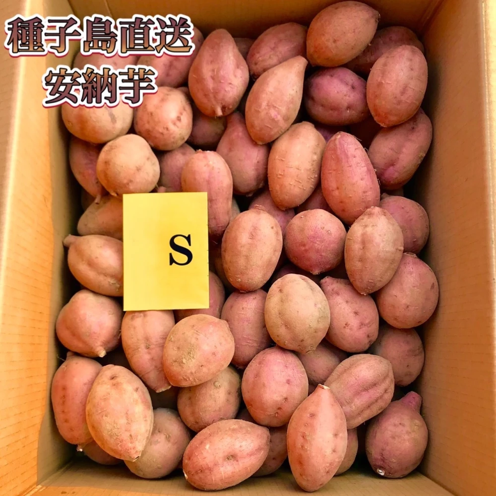 【絶品】種子島産  安納芋  Sサイズ