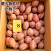 【絶品】種子島産  安納芋  Sサイズ