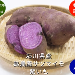 無農薬 サツマイモ 紫いも 訳あり 1kg