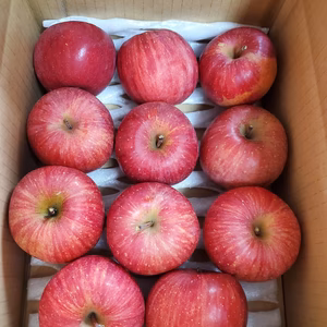 お得な小玉蜜入りサンふじ