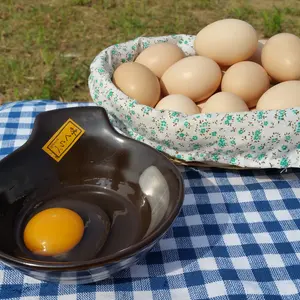 烏骨鶏卵（24個）と放し飼いの卵（24個）のセット