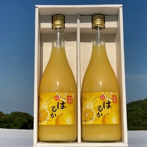そのまんま　はるかジュース