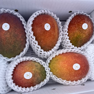 沖縄県産 〈完熟マンゴー〉2Kg(4玉前後)クール便発送！ご家庭用/贈答用