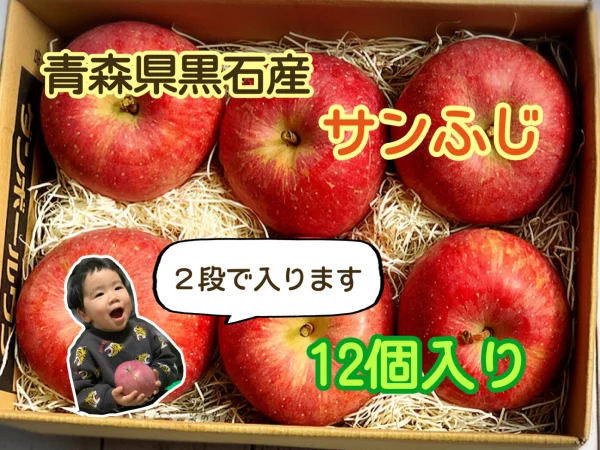 青森県産サンふじりんご12個入り