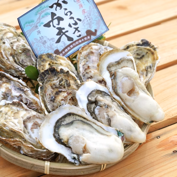 お正月用に元日指定到着・限定商品・【からふさカキ】