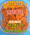 （送料無料）蝦夷バフンウニ（北海道利尻島産）2パック 200g入れ