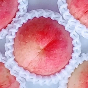 【桃の季節】白鳳桃(糖度12度)2kg用箱詰め和歌山産