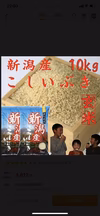 新潟県産　こしいぶき10kg(玄米)    　令和4年産
