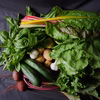 【無農薬・無化学肥料】季節の野菜セット