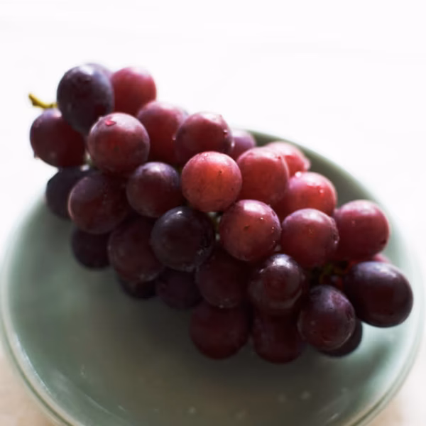 巨峰【種なし】千葉県船橋市のあま～いぶどう！（8月中旬～下旬の発送）