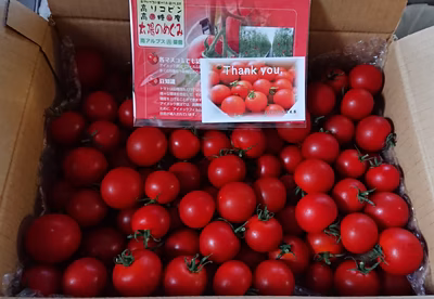 みんなの投稿の画像