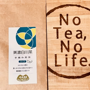 令和６年産　日本の隠れた銘茶　白川茶　希少な手摘み煎茶