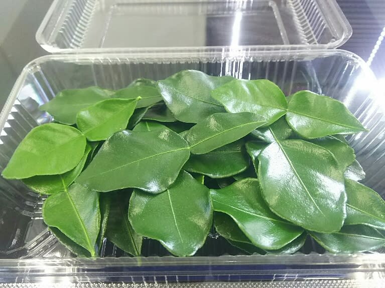 生ガランガル500g約約2袋お料理用＋生コブミカンオマケ。普通温度発送 生ガランガル500g約約2袋お料理用＋生コブミカンオマケ普通温度