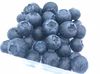 【5月下旬発送】太陽いっぱい大地のジュエリー【浜松ブルーベリー】400ｇ