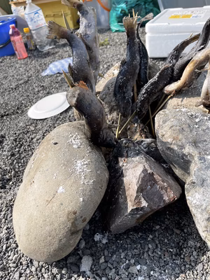 みんなの投稿の画像