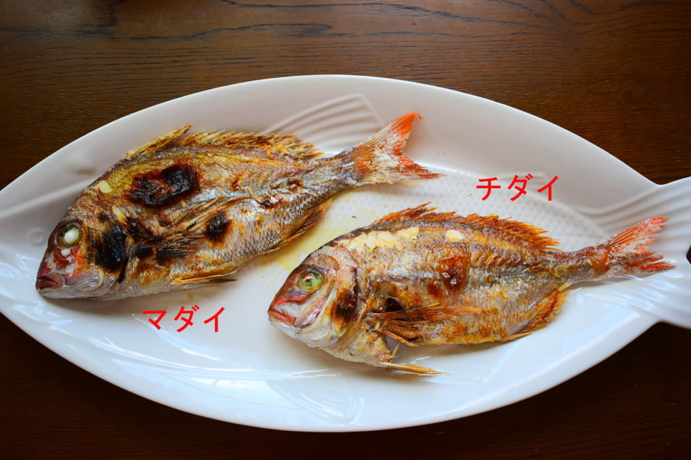 お魚が脱いだ 塩焼きから肝醤油まで 秋田の鮮魚三種を食べ比べ 農家漁師から産地直送の通販 ポケットマルシェ
