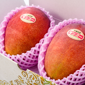 【優品】アップルマンゴー 大玉2玉 1.2kg