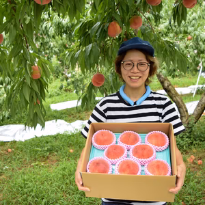 【長野県産】果汁たっぷり☆長野で生まれた桃の『なつっこ』