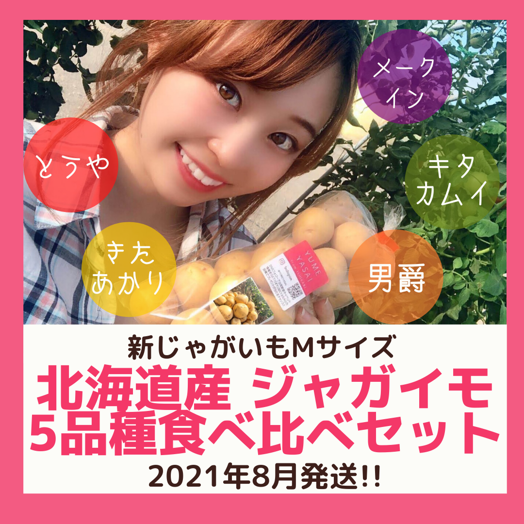 8月発送 北海道産 5品種食べ比べセット 掘りたて新じゃが 農家漁師から産地直送の通販 ポケットマルシェ