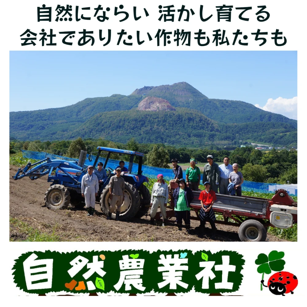 使いやすい１ｋｇ梱包！風味豊かな農薬不使用の有機黒豆！  北海道壮瞥町産