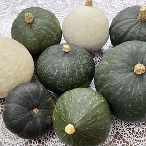 本州四国送料無料！ホクホク三常かぼちゃお任せ２種食べ比べ★2.5kg 3kg