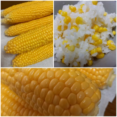 みんなの投稿の画像