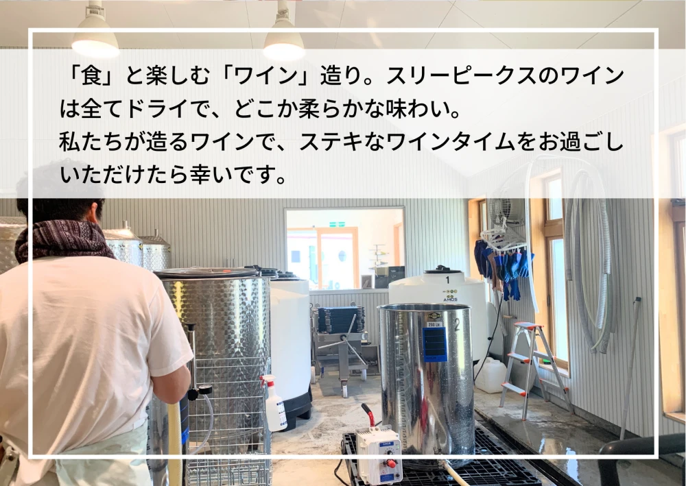 【りんご３姉妹】飲み比べて楽しいアップルシードル（375ml ３本）