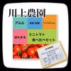 【川上農園】ミニトマト　4品種食べ比べセット✨　茨城県産