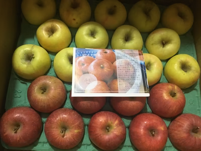 みんなの投稿の画像