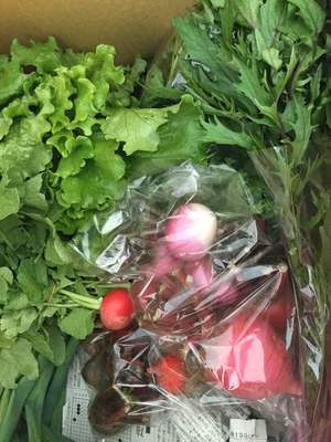 みんなの投稿の画像