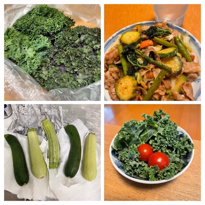 みんなの投稿の画像