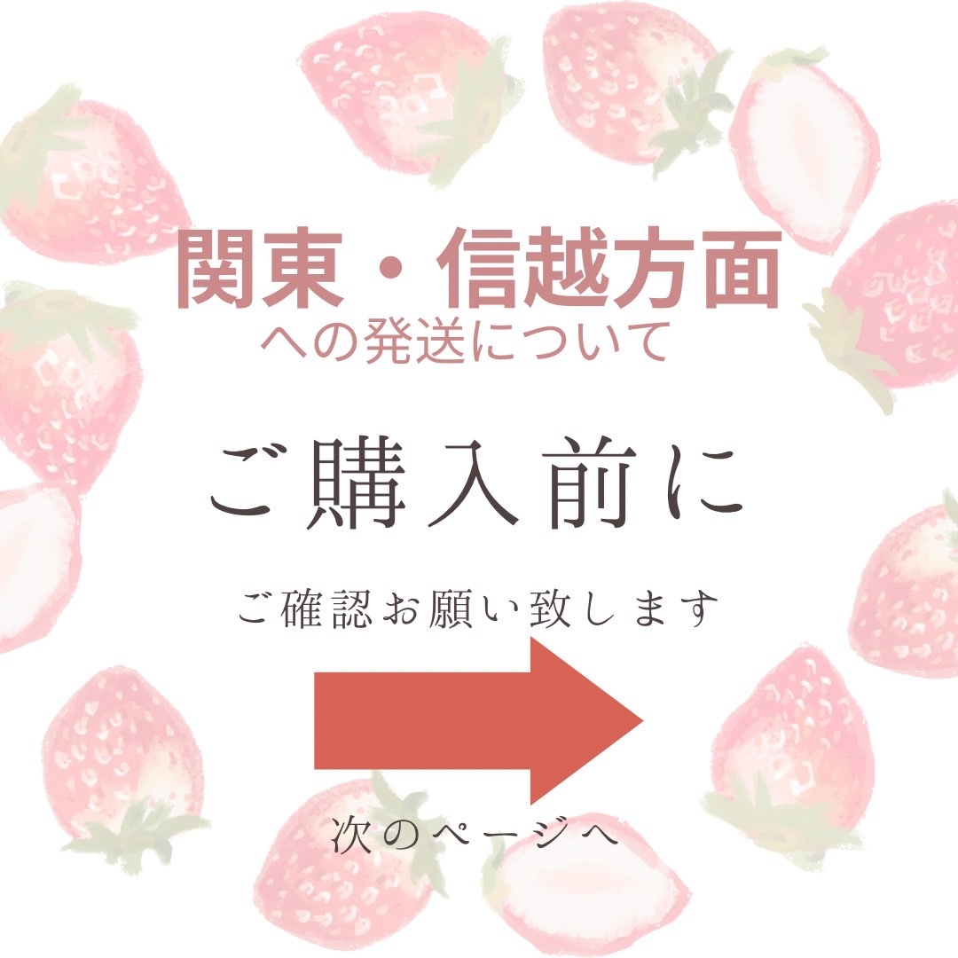 クール便4P☆新鮮朝採り☆かんちゃん農園の甘いいちご｜果物の商品詳細