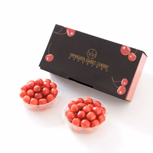 【６月２５日以降発送】さくらんぼギフト 佐藤錦 贈答用２Lサイズ 250g×2p