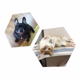 空太.とら.ママ