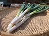 【大自然で育った大根・長ネギセット】兵庫県香美町産！大根２本、長ネギ３本セット！
