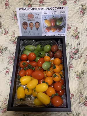 みんなの投稿の画像