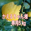 かえるちゃん様専用(レモネード)オマケ付！【黄金柑】