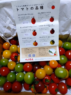 みんなの投稿の画像