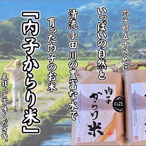 もちもちの弾力！令和4年産「にこまる」5kg(精米５㎏×1袋)
