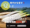 爽やかな甘さ❗️極太2L・超極太3Lｻｲｽﾞ❗️✨夏ネギ＜クール便＞✨