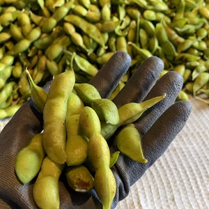 ビールのお供セット！　《令和5年産》丹波黒枝豆&ニンニク