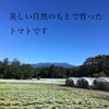 食べて美味しいトマトそのままジュースに　無塩、1㍑瓶1本