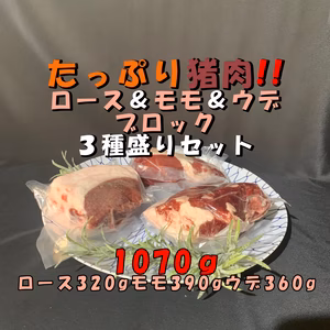 BBQに！たっぷり猪肉!!ロース＆モモ＆ウデ肉３種ブロックセット！1070ｇ