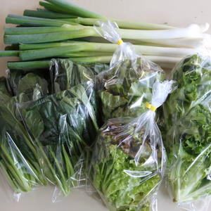 うらまさ野菜セット