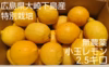小玉！農薬・ワックス等不使用 酸っぱいだけじゃない！甘味も感じるレモン2.5キロ