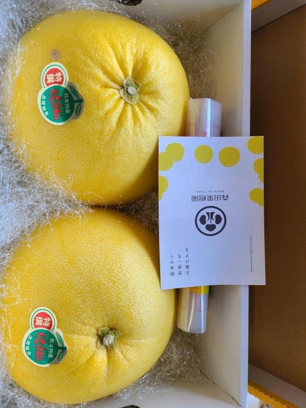 熊本県八代特産ばんぺいゆ2Lサイズ　2玉箱　 12月より順次お届け！